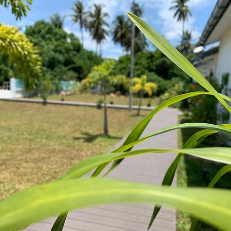 Cloud9 Holiday Cottages Pantai Cenang  Exterior photo