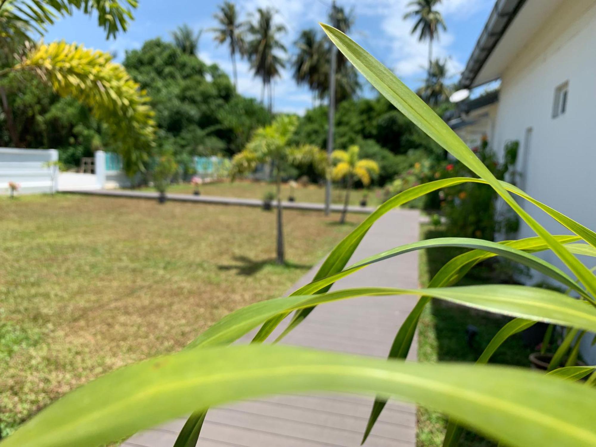 Cloud9 Holiday Cottages Pantai Cenang  Exterior photo