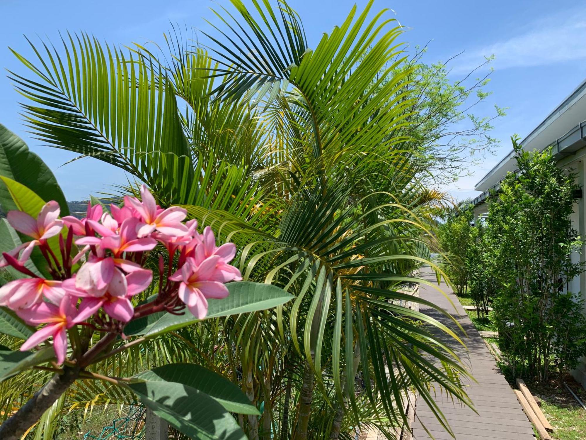 Cloud9 Holiday Cottages Pantai Cenang  Exterior photo